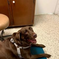 Bluegrass Animal Care Center-Radcliff ico