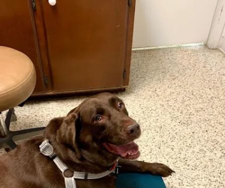 Bluegrass Animal Care Center-Radcliff
