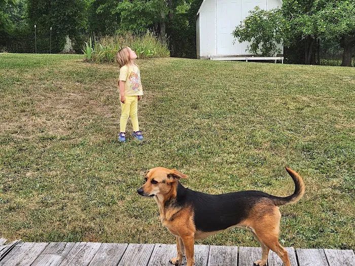 Bluegrass Animal Care Center-Radcliff Picture 7