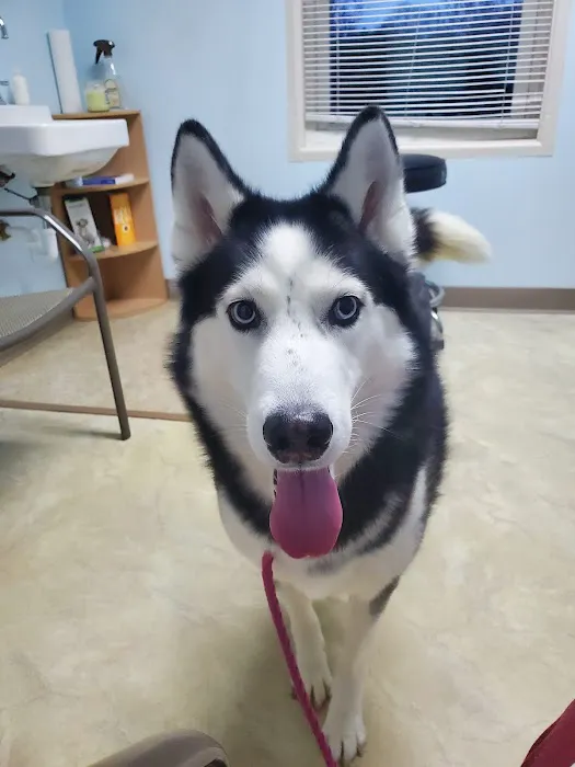 Sylvan Lake Animal Clinic Picture 6