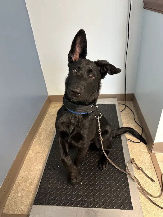 Sylvan Lake Animal Clinic Picture 7