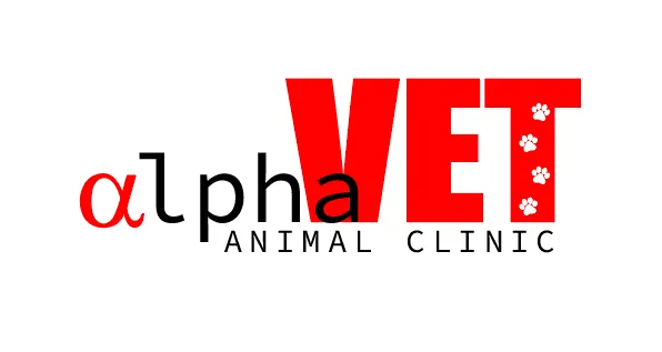AlphaVet Animal Clinic, Dr. Greg Ashley, DVM, MS Picture 5