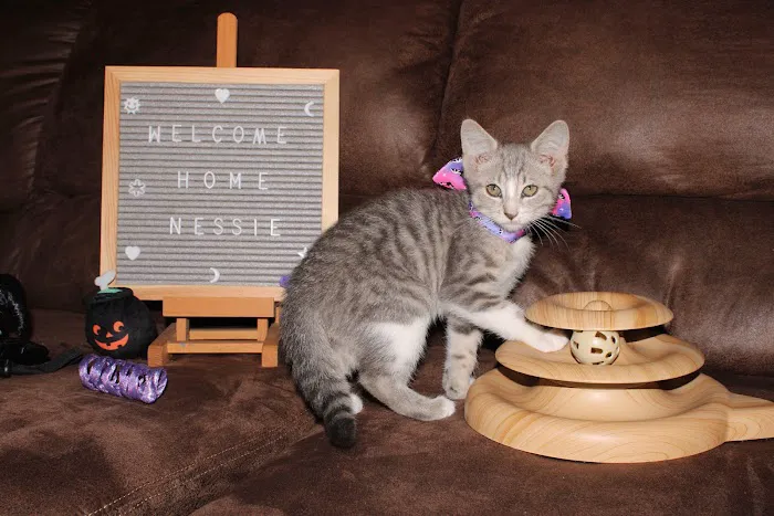 C.C. Veterinary Hospital Picture 1