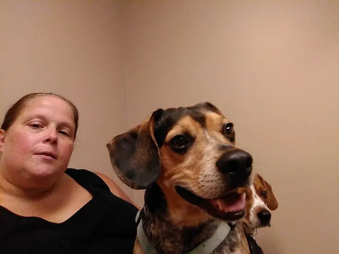 Line Street Veterinary Hospital Picture 4