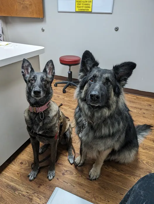 Line Street Veterinary Hospital Picture 5