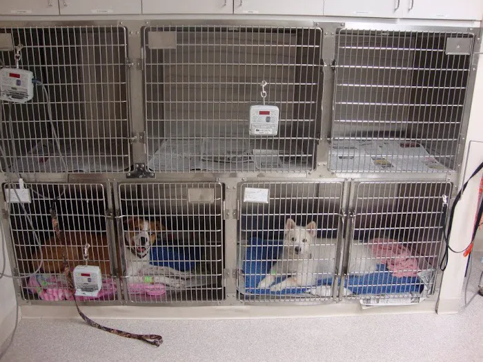 Line Street Veterinary Hospital Picture 9
