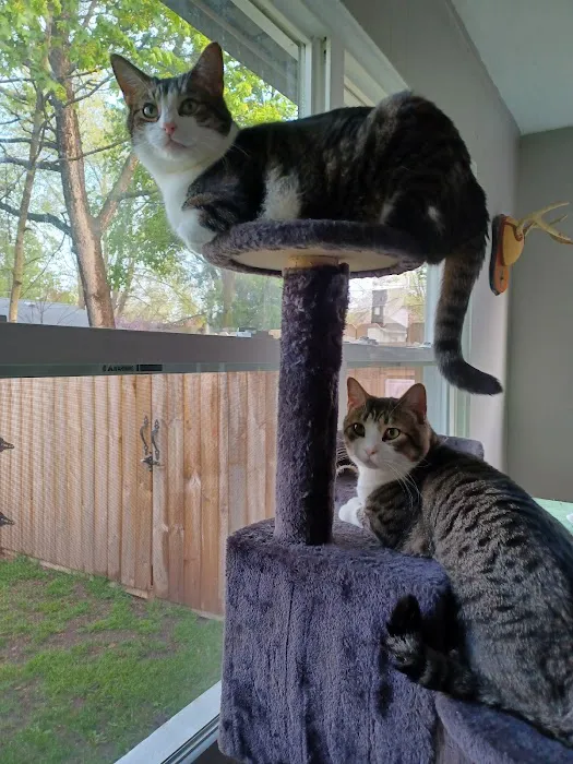 Sturgis Veterinary Hospital Picture 9