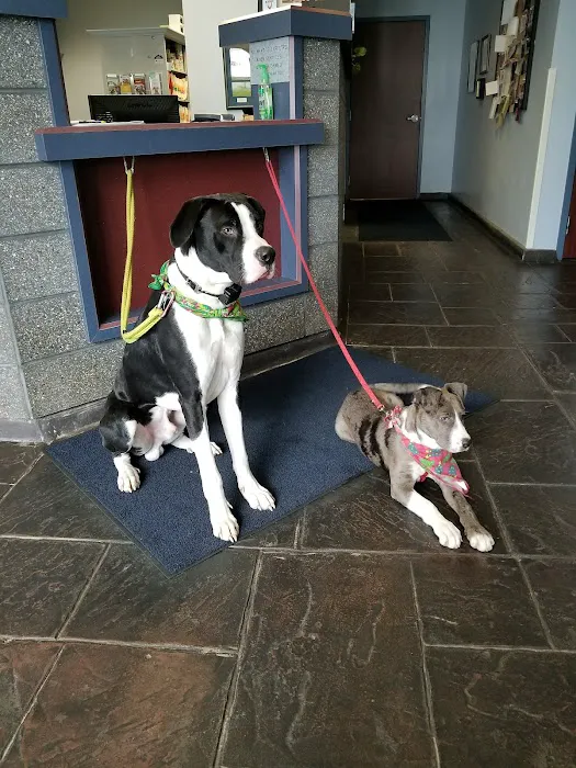 Lake Area Veterinary Group Picture 3