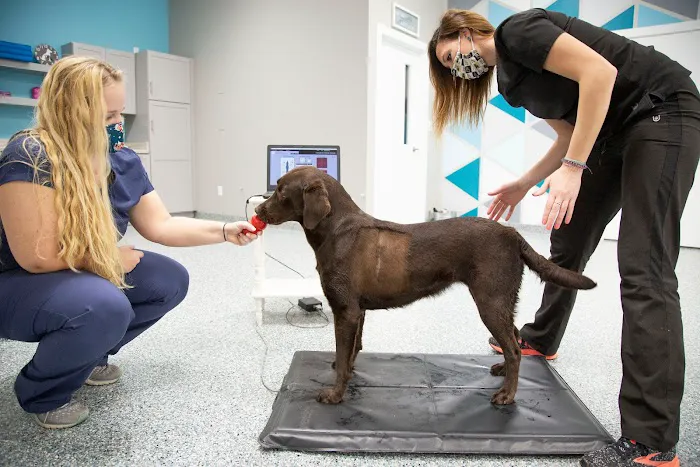 Michiana Animal Rehabilitation Services Picture 2