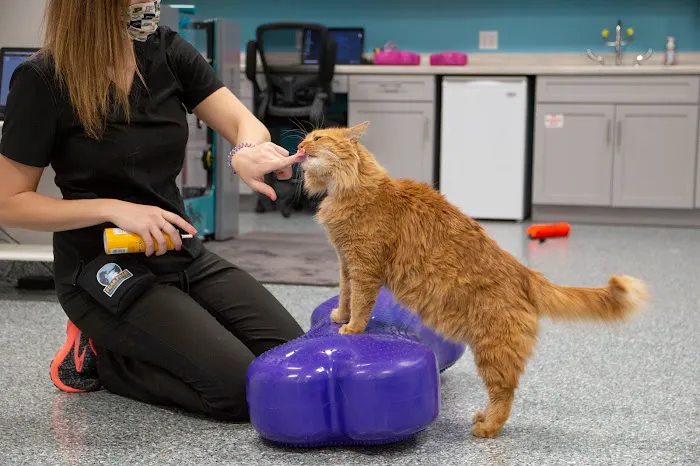 Michiana Animal Rehabilitation Services Picture 3