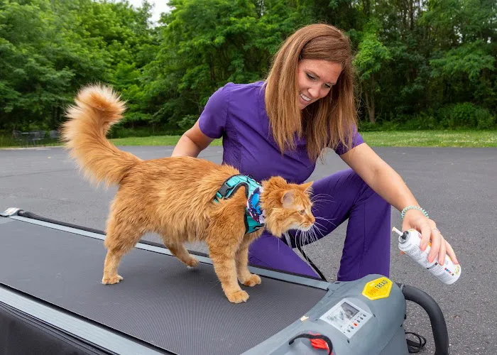 Michiana Animal Rehabilitation Services Picture 9
