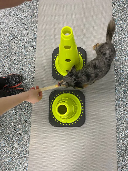 Michiana Animal Rehabilitation Services Picture 7