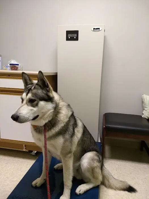 Middlebury Animal Clinic Picture 6