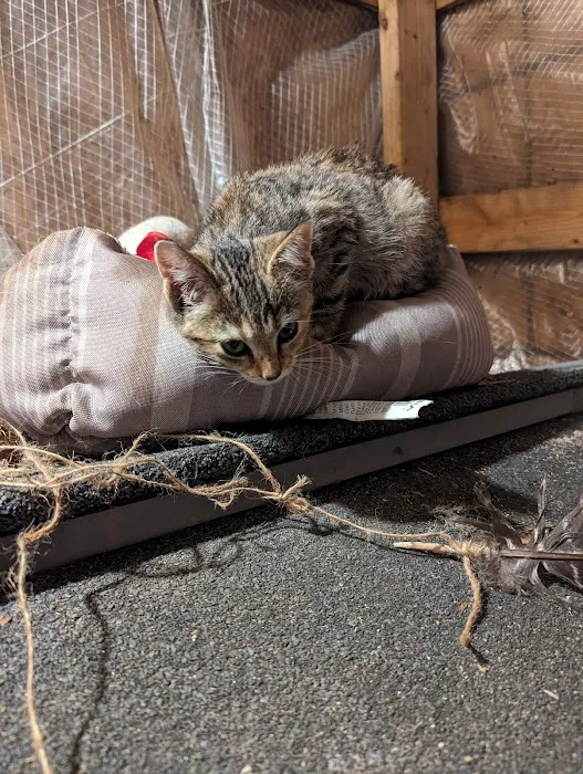 Middlebury Animal Clinic Picture 8