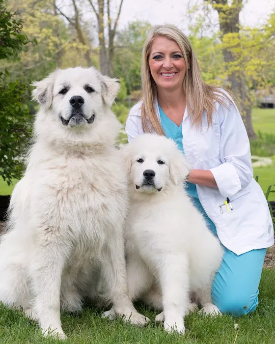 Middlebury Animal Clinic Picture 7