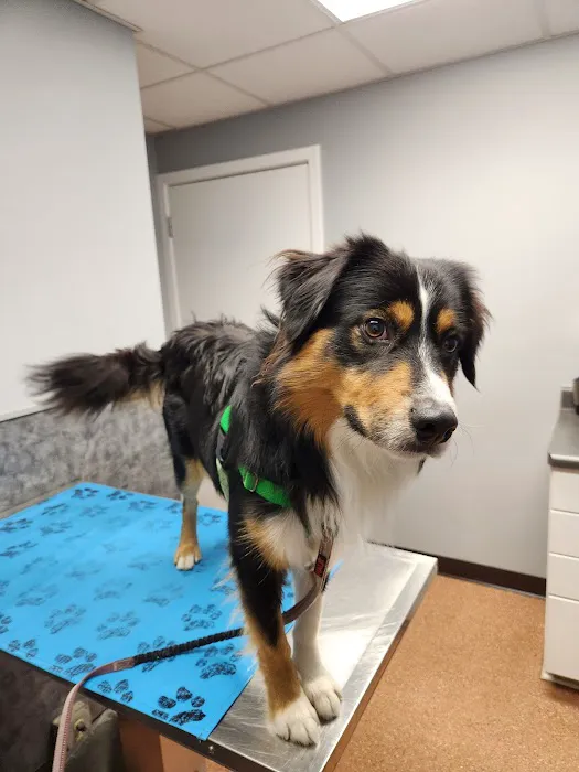Kibby Park Animal Hospital Picture 1