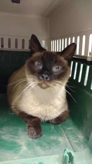 Kibby Park Animal Hospital Picture 4