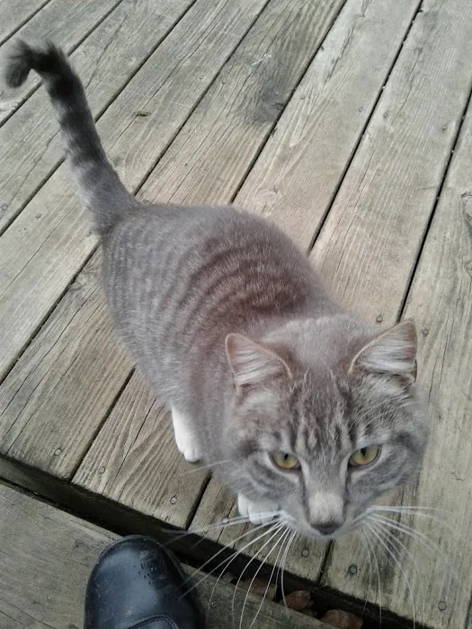 Kibby Park Animal Hospital Picture 10