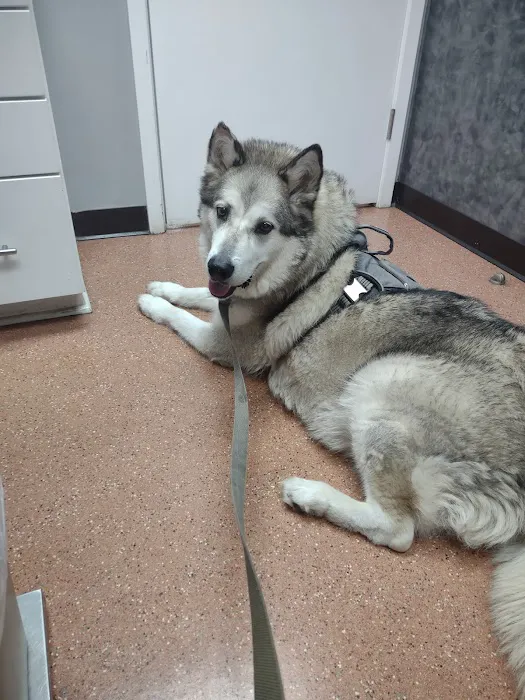 Kibby Park Animal Hospital Picture 8