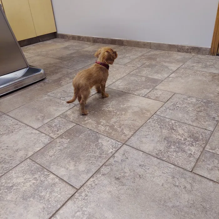 VCA Jackson Animal Hospital Picture 5