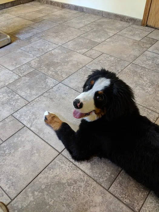 VCA Jackson Animal Hospital Picture 6