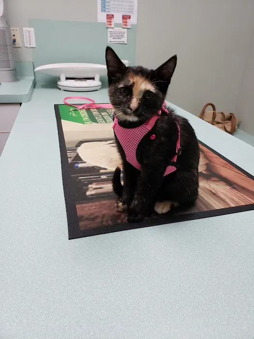 Blackman Animal Clinic Picture 2