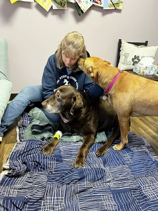 Blackman Animal Clinic Picture 5