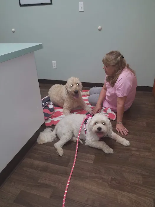Blackman Animal Clinic Picture 4