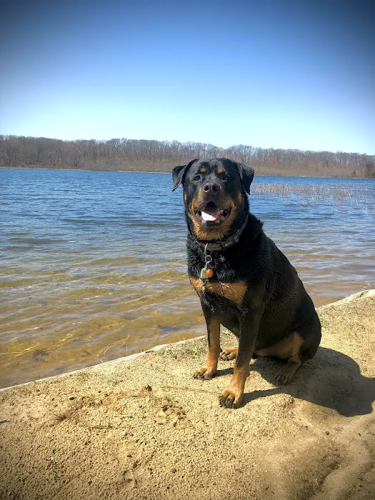 Grass Lake Animal Hospital Picture 4