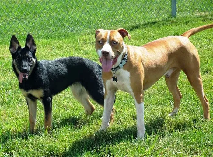 Grass Lake Animal Hospital Picture 6