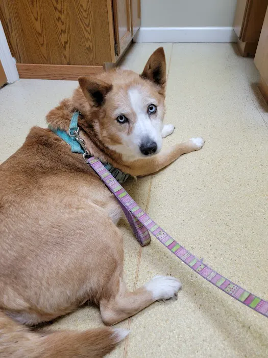 Grass Lake Animal Hospital Picture 5