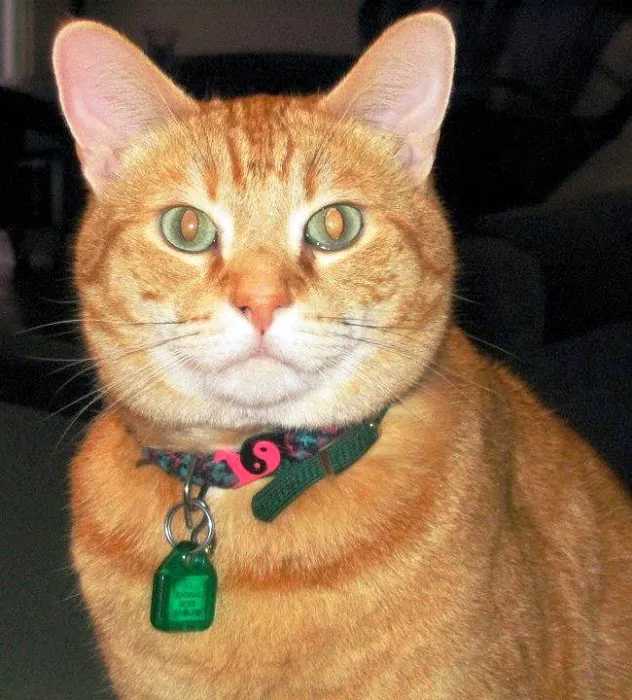Grass Lake Animal Hospital Picture 9