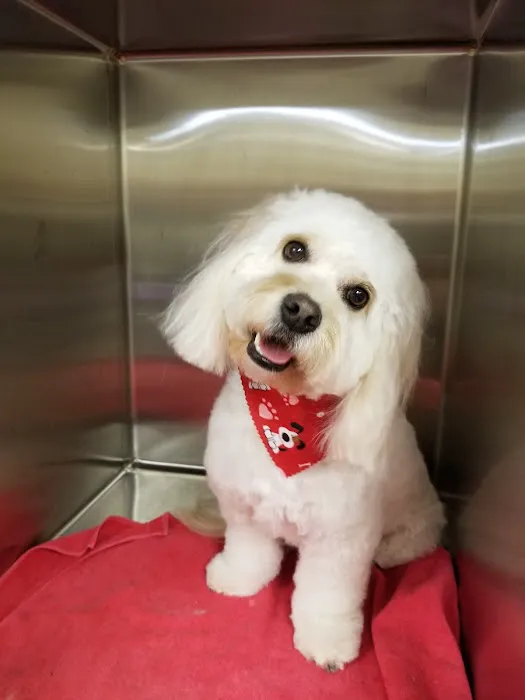 Crossroads Animal Hospital and Pet Resort Picture 3
