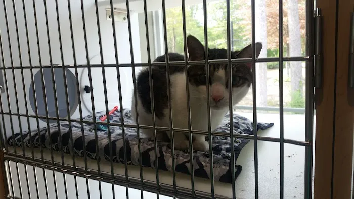 Crossroads Animal Hospital and Pet Resort Picture 2