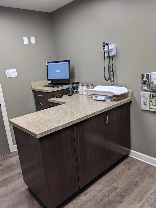 Crossroads Animal Hospital and Pet Resort Picture 8