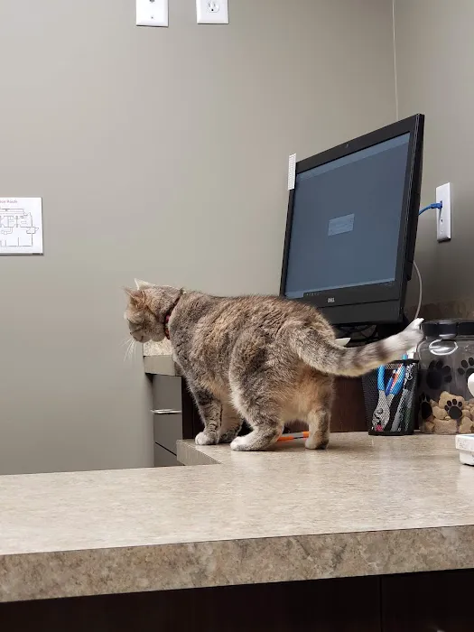 Crossroads Animal Hospital and Pet Resort Picture 10