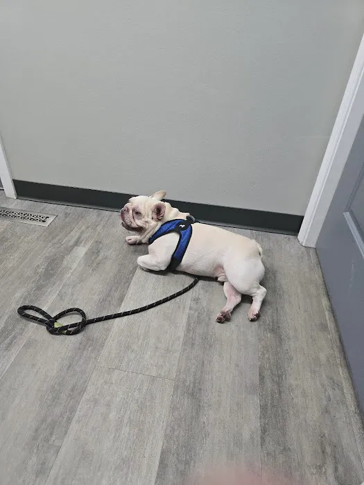 Clinton Trail Animal Hospital Picture 5