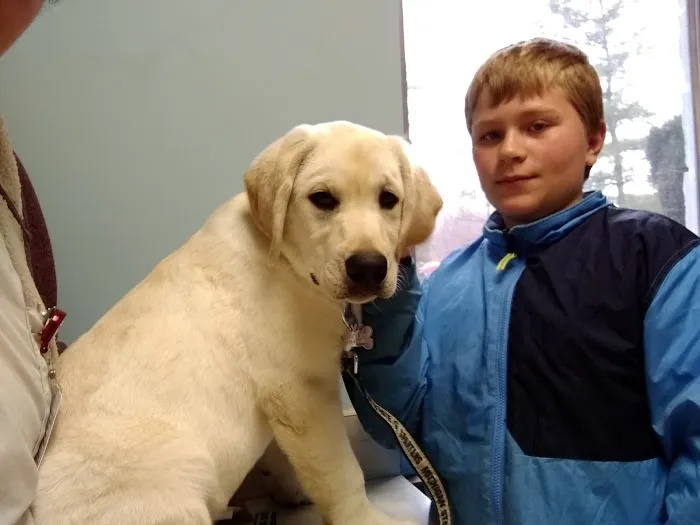 Animal Medical Center of Saline Picture 5