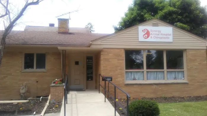 Synergy Animal Hospital & Chiropractic Picture 1