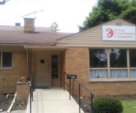 Synergy Animal Hospital & Chiropractic