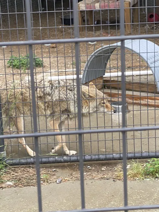Animal Kingdom Veterinary Hospital Picture 2