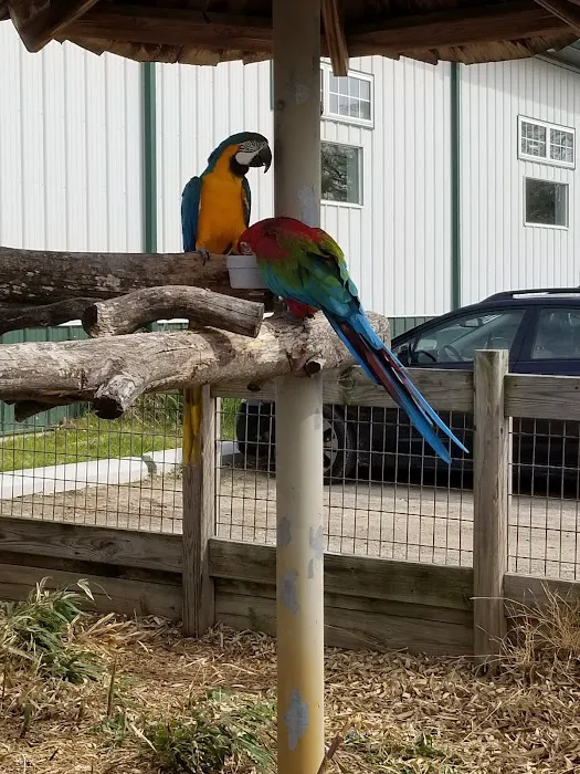 Animal Kingdom Veterinary Hospital Picture 5