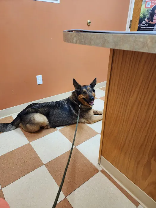 VCA Marshall Animal Hospital Picture 5