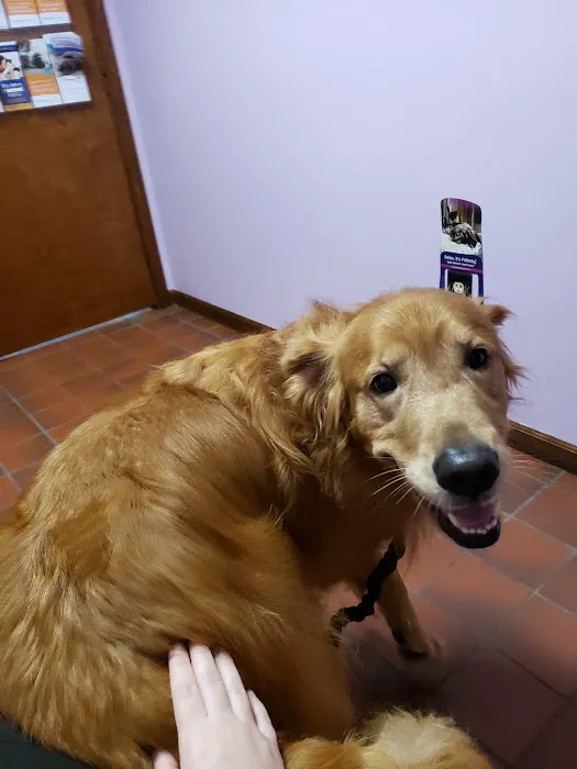 Log Cabin Animal Hospital Picture 2