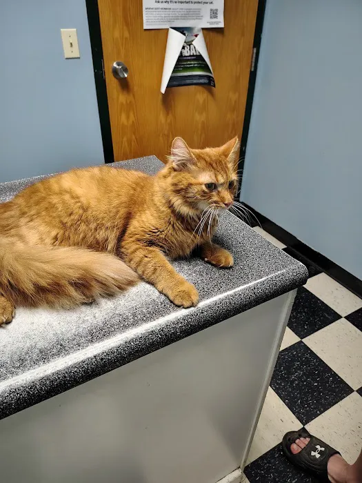 Southside Veterinary Clinic with Bed & Biscuit Boarding Picture 1
