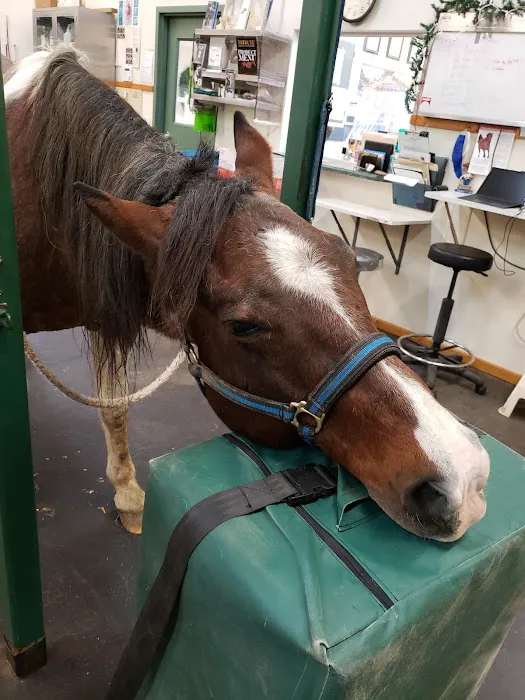Beadle Lake Veterinary Clinic Picture 1