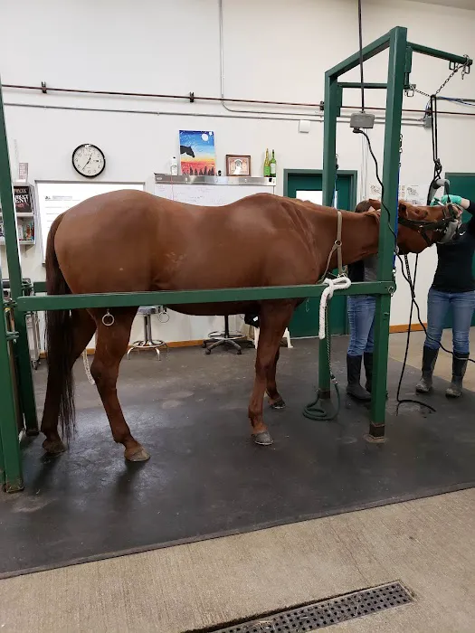 Beadle Lake Veterinary Clinic Picture 2