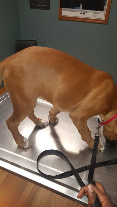 Kaspari Veterinary Clinic Picture 7