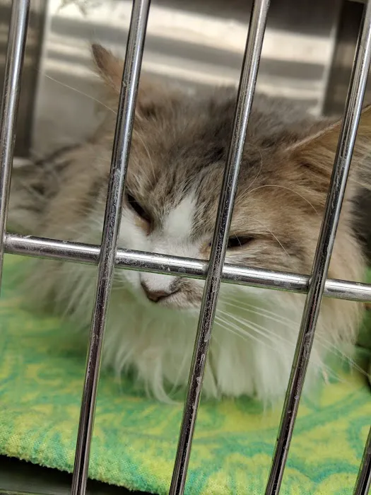 Eaton County Humane Society - Spay/Neuter Clinic & Wellness Center Picture 8