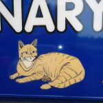 Lakeview Veterinary Clinic